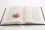 特朗普家族加密币帝国：权钱交易、内幕消息与5.5亿美元的利益迷局